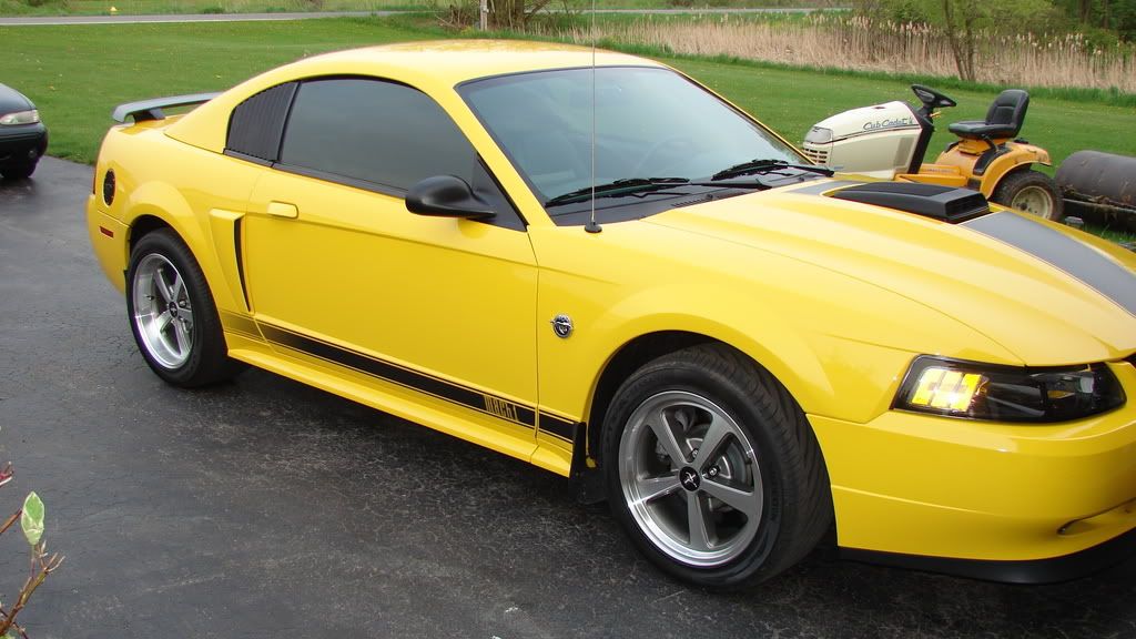 Zinc Yello VS Screaming Yellow New York Mustangs Forums